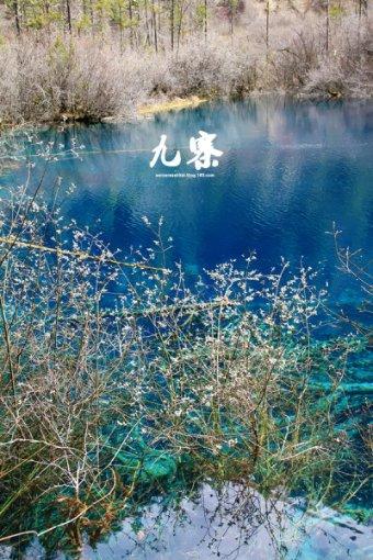 王世龙：队伍执行力较差 最后想犯规没犯上 回去严厉批评他们